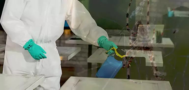 Why Buyers Still Want Homes With Pest Infestations in Rockford, IL?