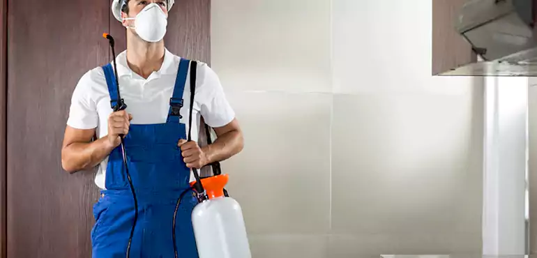 Why Rockford Homeowners Choose Us When Pests Make Selling Difficult
