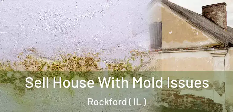  Sell House With Mold Issues Rockford ( IL )